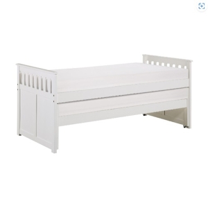 Item # A0082CPT