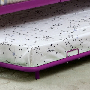 0025TR Purple Trundle